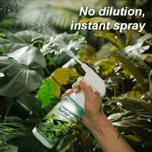 Chlorophll Spray 100ML