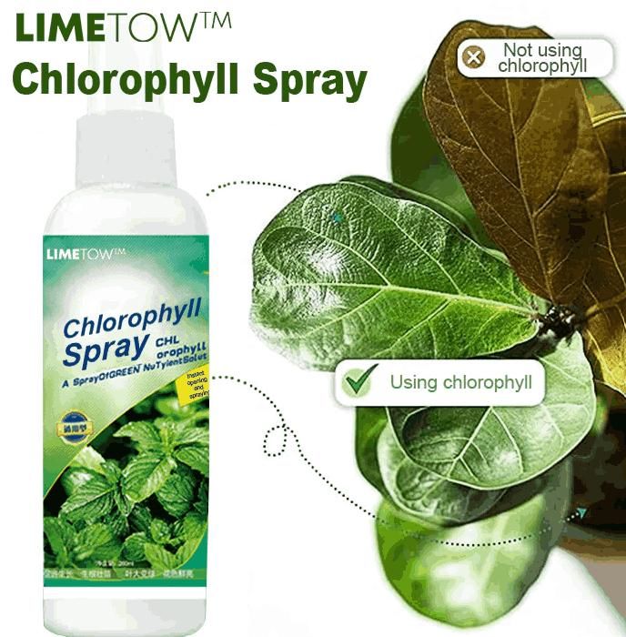 Chlorophll Spray 100ML